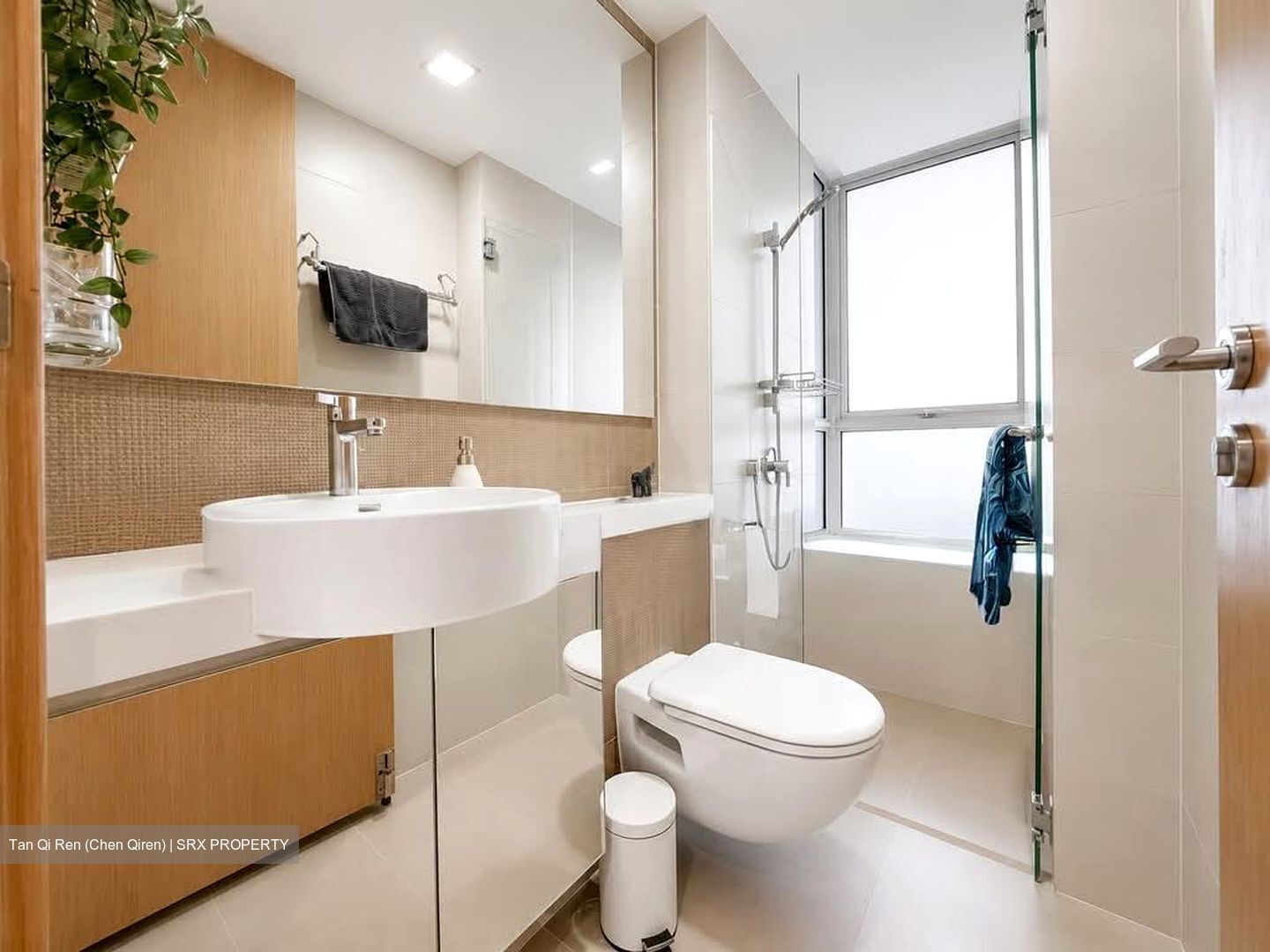 The Regency At Tiong Bahru (D3), Condominium #589631351